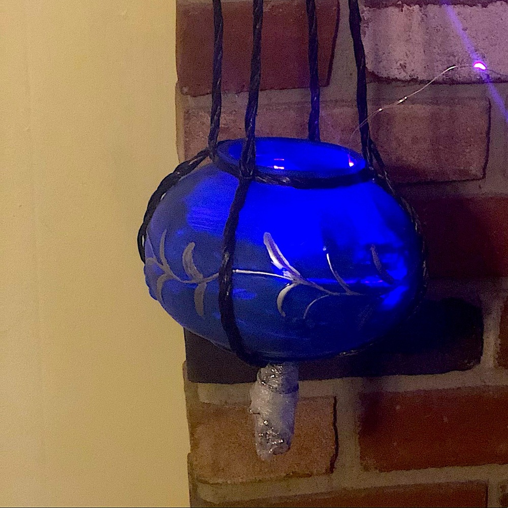 Hanging plant-based or faux succulent.
